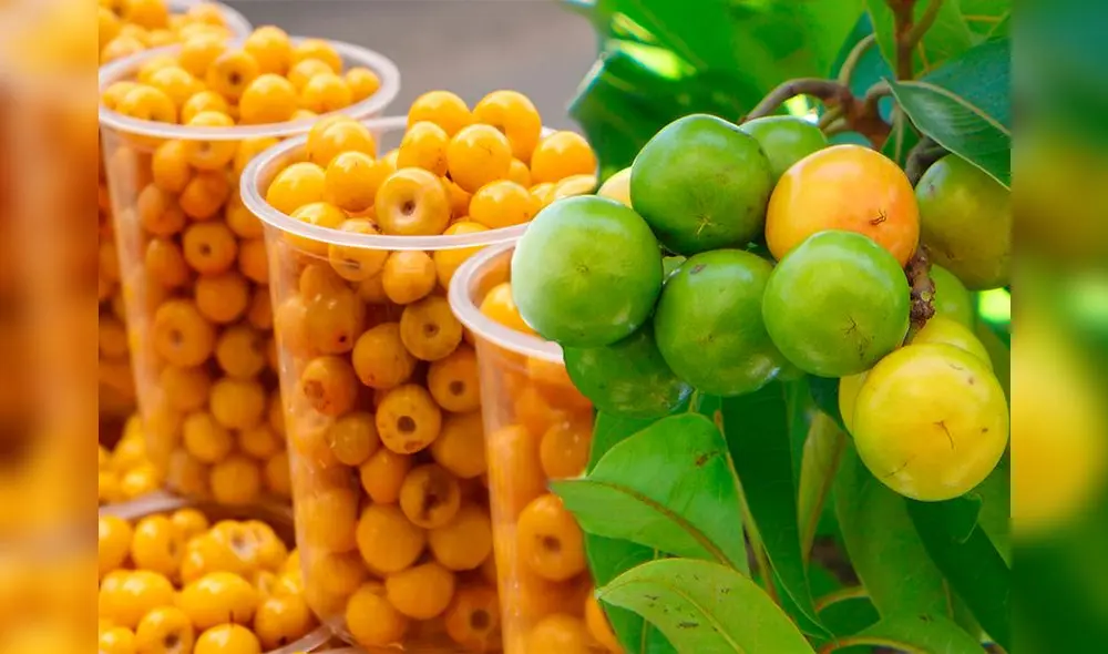 Conoce todo sobre la fruta conocida como el 'alimento de oro'. Revisa sus propiedad. Foto: Composición LR/naturalist Conoce todo sobre la fruta conocida como el 'alimento de oro'. Revisa sus propiedad. Foto: Composición LR/naturalist