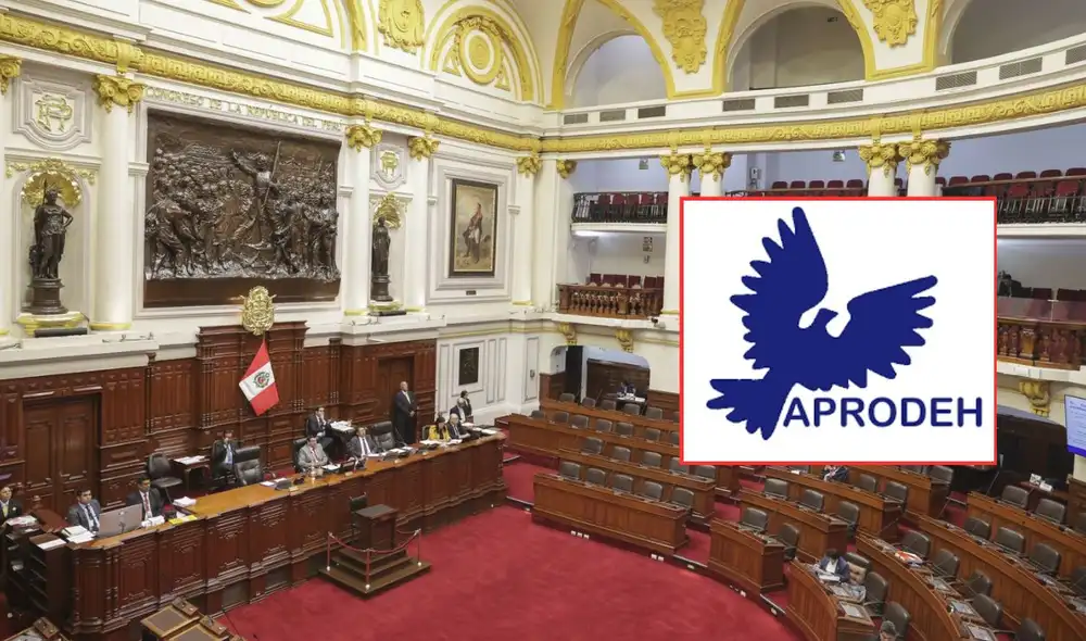 Aprodeh alertó a los organismos internacional y al sistema de justicia del Perú sobre la aplicación de esta norma. Foto: composición LR Aprodeh alertó a los organismos internacional y al sistema de justicia del Perú sobre la aplicación de esta norma. Foto: composición LR