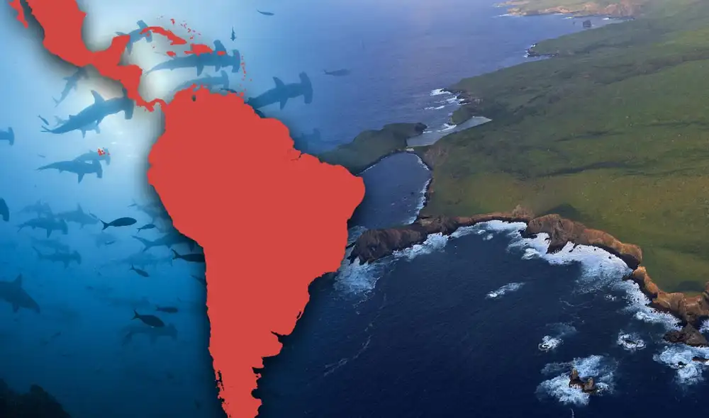 Descubre el Parque Nacional Revillagigedo, el segundo más grande del mundo en América Latina, superando a China y EE. UU. Un tesoro natural con más de 1.360 especies protegidas. Foto: composición LR/Erick Higuera/Gobierno de México Descubre el Parque Nacional Revillagigedo, el segundo más grande del mundo en América Latina, superando a China y EE. UU. Un tesoro natural con más de 1.360 especies protegidas. Foto: composición LR/Erick Higuera/Gobierno de México