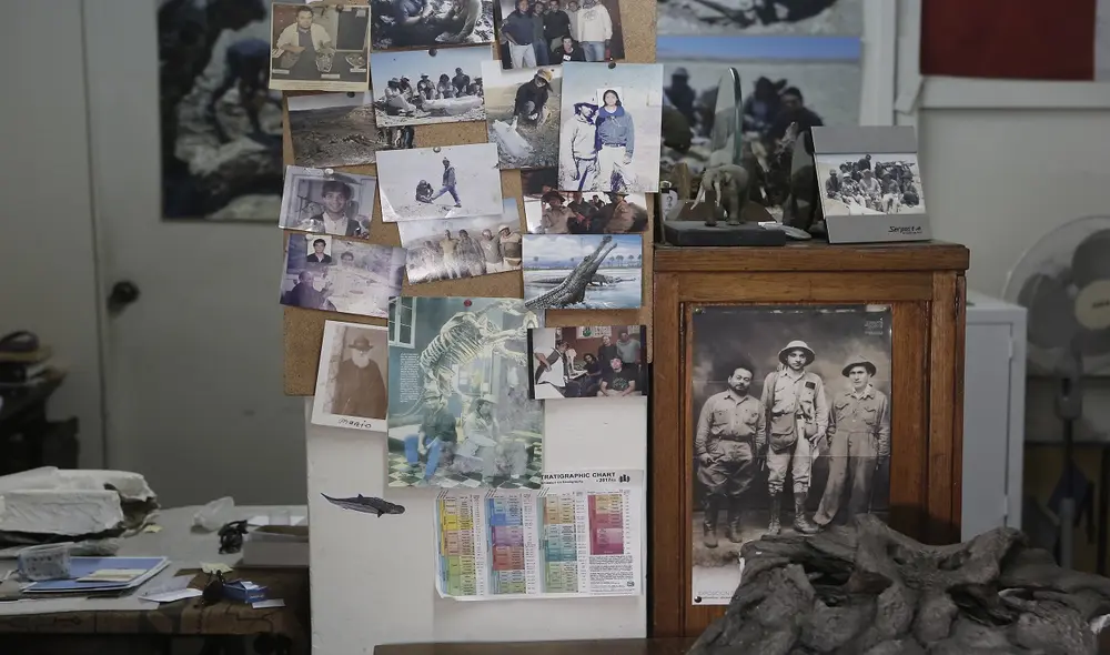Imágenes de Salas y colegas en expediciones y en laboratorio. Foto: Marco Cotrina / LR
