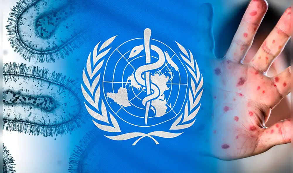 Previo a este encuentro, la OMS anunciará quiénes serán los integrantes del Comité de expertos que consultará. Foto: Composición LR/BlackJack3D/El Cronista.