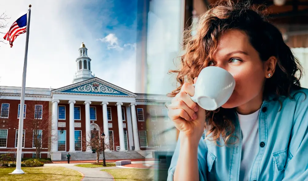 La mejor bebida para bajar el colesterol, según Universidad de Harvard| Lr/ Composición: Jazmine Ceras