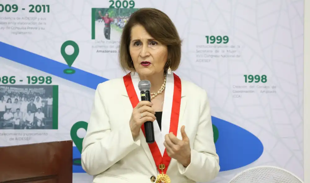 Luz Pacheco aclaró que el TC solo se pronunció respecto al caso de obstrucción a la justicia, no por otros delitos. Foto: TC