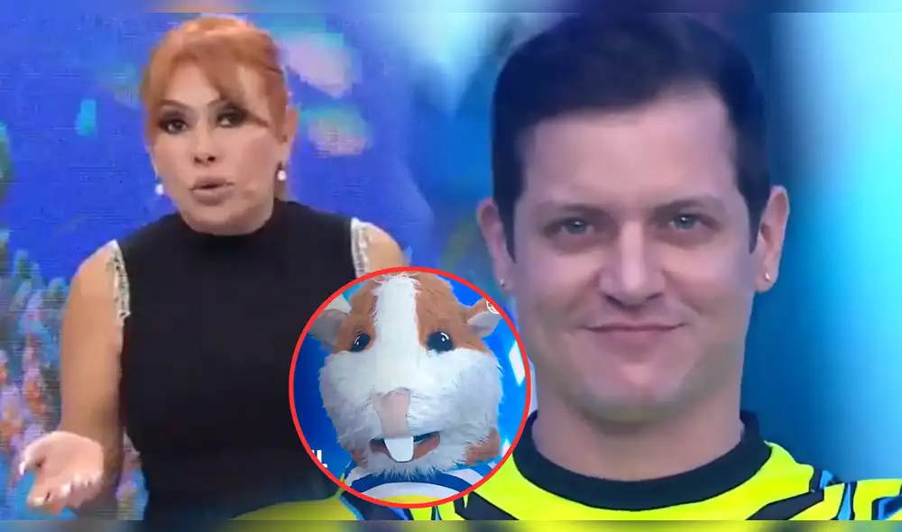 Magaly Medina no dudó en opinar sobre el regreso de Gino Pesaressi a 'Esto es guerra'. Foto: composición LR/América TV/Magaly TV, la firme Magaly Medina no dudó en opinar sobre el regreso de Gino Pesaressi a 'Esto es guerra'. Foto: composición LR/América TV/Magaly TV, la firme