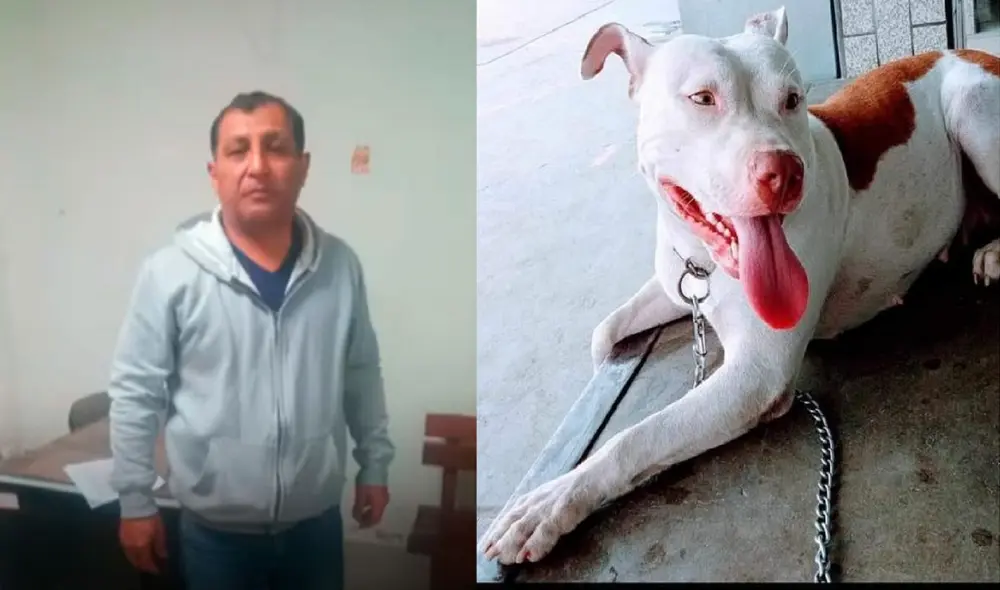 Piden carcel para policía que asesinó a mascota. Foto: Chiclayo noticias