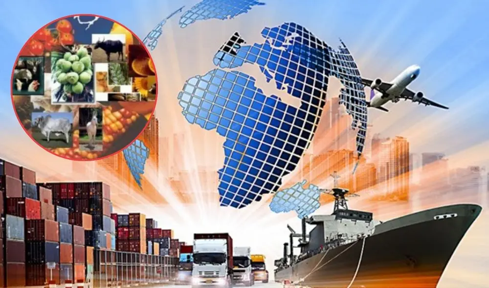 Brasil es el único país de Sudamérica que está dentro del top 10 de los mayores exportadores de alimentos en el mundo. Foto: composición LR/El Peruano/Joaquín Olona Brasil es el único país de Sudamérica que está dentro del top 10 de los mayores exportadores de alimentos en el mundo. Foto: composición LR/El Peruano/Joaquín Olona