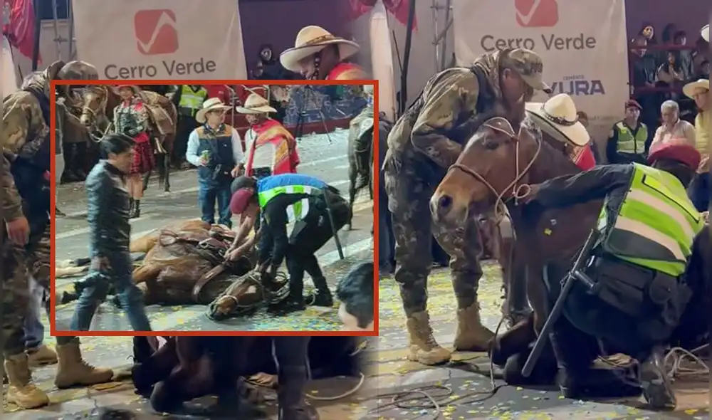 Arequipa. Imágenes del caballo tendido en la pista de la avenida Independencia ha propiciado la reflexión sobre la participación de estos animales. Foto: composición LR/Claudia Beltrán/captura EPA Noticias