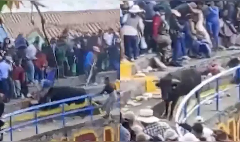 Personas intentaron huir durante ataque de toro. Foto: Captura America Noticias