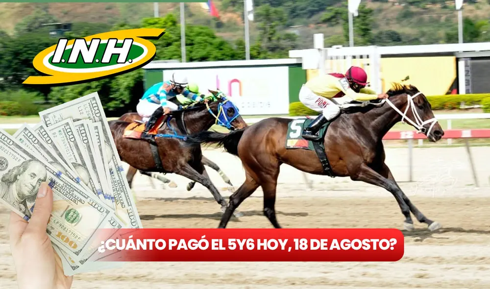 El 5y6 de La Rinconada ofrece US$500.000 como mínimo al cuadro único con 6 aciertos. Foto: composición LR / INH / Freepik