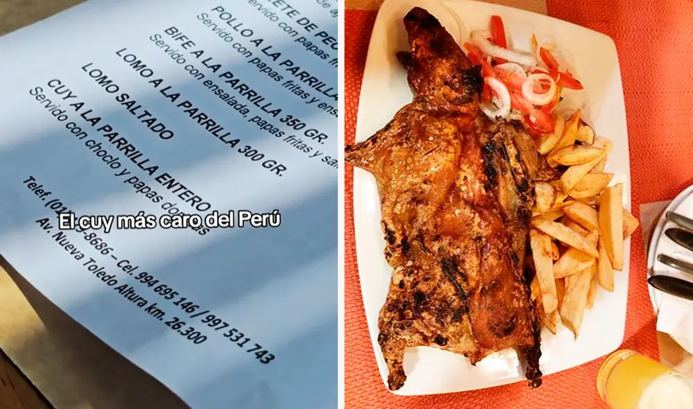 Aunque se haya tratado de un error, y asumiendo que costaba 90 soles, también sería un precio excesivo, señalaron algunos usuarios. Foto: composición LR/TikTok