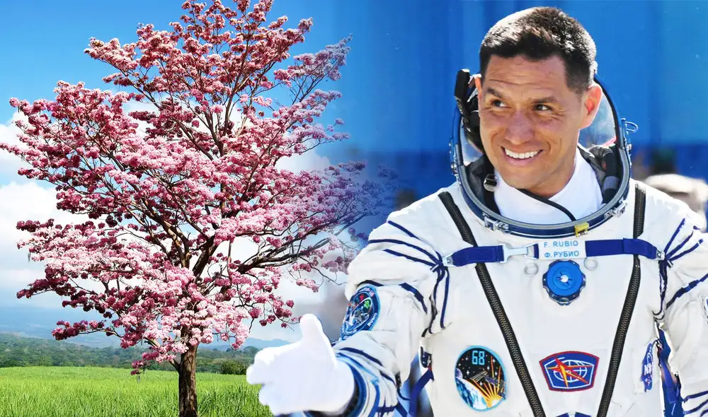 El astronauta salvadoreño Frank Rubio llevó semillas de maquilishuat al espacio y las sembró a su regreso. Foto: composición LR/NASA El astronauta salvadoreño Frank Rubio llevó semillas de maquilishuat al espacio y las sembró a su regreso. Foto: composición LR/NASA
