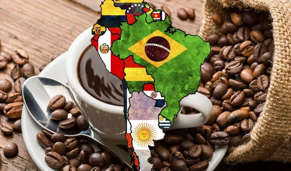 La OIC explora la calidad del café basándose en aroma, sabor, postgusto, acidez, cuerpo, y equilibrio. Foto: composiciónLR/Marca/Vecteezy La OIC explora la calidad del café basándose en aroma, sabor, postgusto, acidez, cuerpo, y equilibrio. Foto: composiciónLR/Marca/Vecteezy