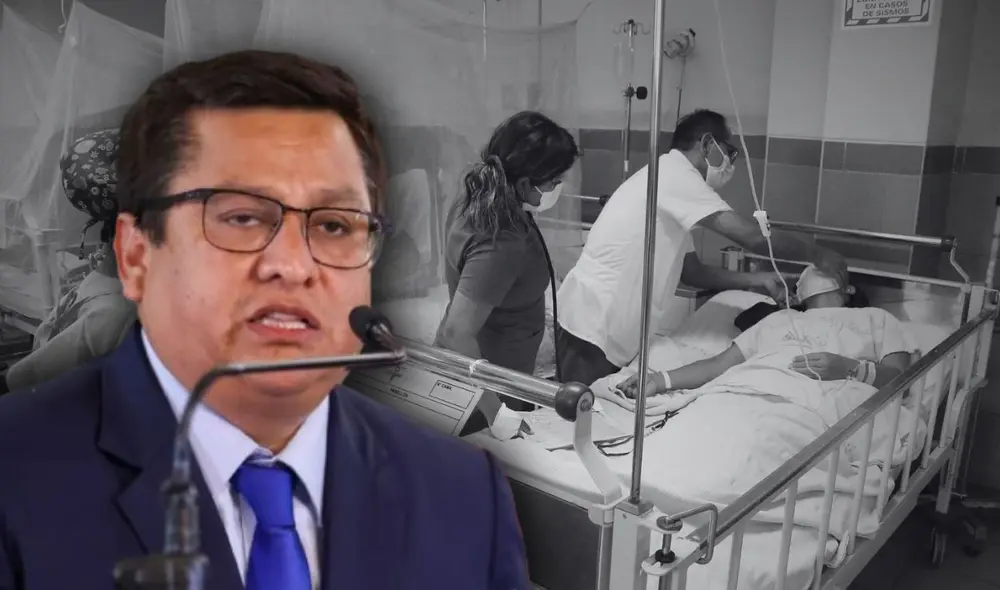 El Ministerio de Salud (Minsa) reporta 260.159 casos del dengue a nivel nacional. Foto: composición LR/Andina