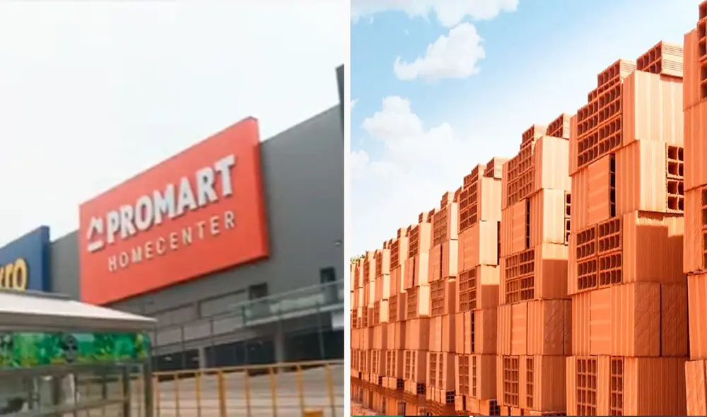 Las imágenes sacaron más de una sonrisa en redes sociales. Foto: composición LR/TikTok