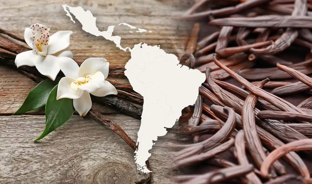 Este país de América Latina es el tercer mayor productor de vainilla en el mundo, especie que conquistó al mundo y es empleado en la gastronomía y cosmetica. Foto: composición LR/DALL.E