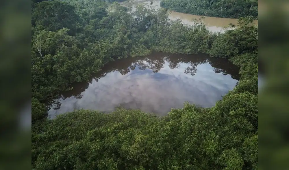Posibles impactos en los ecosistemas de la selva peruana. Fuente: Difusión Posibles impactos en los ecosistemas de la selva peruana. Fuente: Difusión