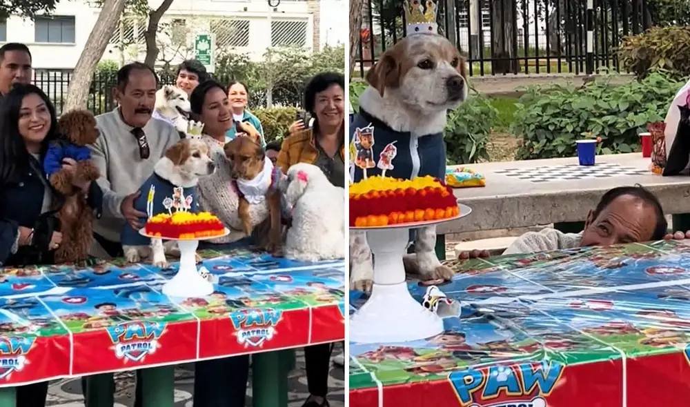 "¡Feliz cumple, Doguito! Que vengan muchos añitos más", resaltó artífice de clip viral. Foto: composición LR/ TikTok "¡Feliz cumple, Doguito! Que vengan muchos añitos más", resaltó artífice de clip viral. Foto: composición LR/ TikTok