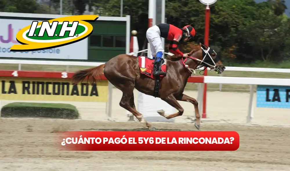 El 5y6 de La Rinconada lleva varias semanas superando los 30 millones de bolívares. Foto: composición LR / INH