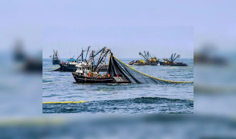 Ya son 295 los barcos que habrían ingresado ilegalmente a territorio peruano.