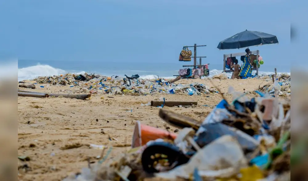 Se encontraron 21.360 ítems de basura, clasificados en plástico, madera procesada, papel, mascarillas, colillas de cigarrillo, metal, vidrio, entre otros. Foto: Pexels