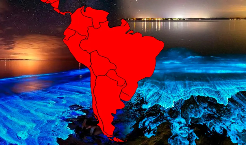 El plancton marino provoca este hermoso fenómeno que se puede disfrutar durante las noches en este mar del Caribe. Foto: composición LR/EFE/X El plancton marino provoca este hermoso fenómeno que se puede disfrutar durante las noches en este mar del Caribe. Foto: composición LR/EFE/X