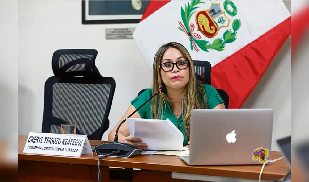 Congresista en un primer instante enfatizó que no "estaba prohibido" recibir donaciones. Foto: difusión.