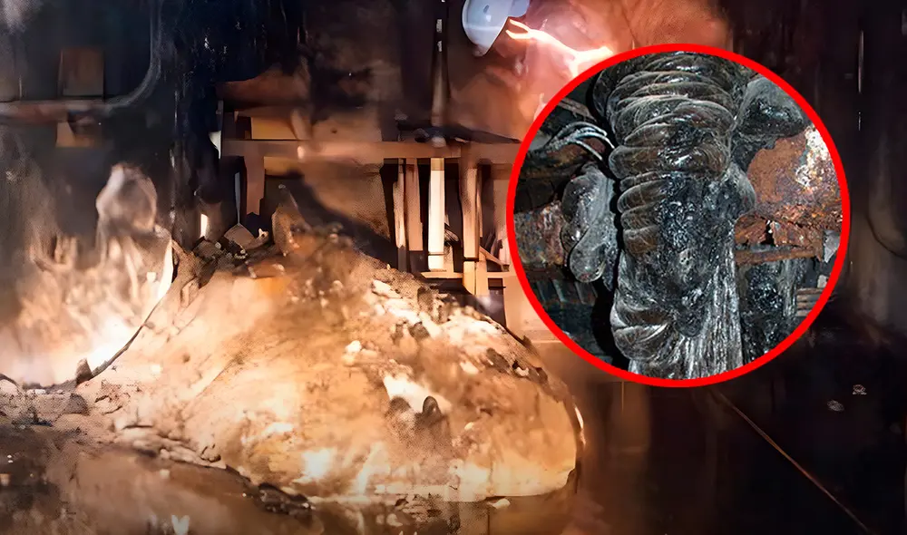 La exposición al pie de elefante provoca síntomas graves como vómitos, fiebre y otros. Foto: composición LR/Reddit La exposición al pie de elefante provoca síntomas graves como vómitos, fiebre y otros. Foto: composición LR/Reddit