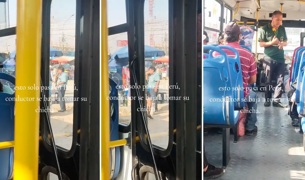 Las imágenes sacaron más de una sonrisa en las redes sociales. Foto: composición LR/TikTok