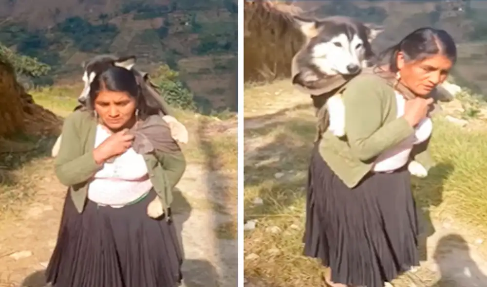 Las imágenes conmovieron a los usuarios en las redes sociales. Foto: composición LR/TikTok Las imágenes conmovieron a los usuarios en las redes sociales. Foto: composición LR/TikTok