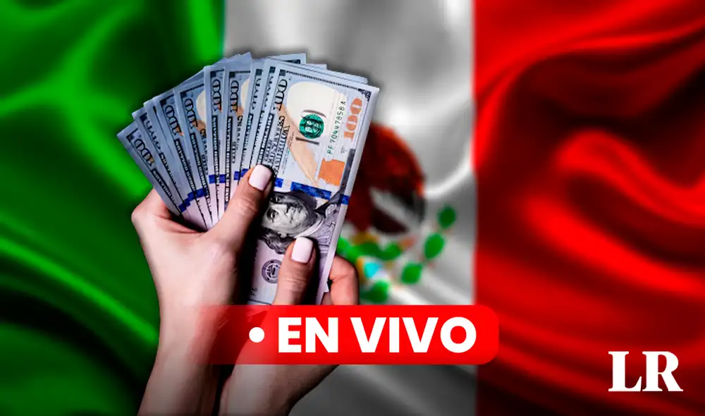 Precio del dólar en México hoy, 29 de agosto de 2024, según Banco de México. Foto: Composición LR/CDN/Freepik Precio del dólar en México hoy, 29 de agosto de 2024, según Banco de México. Foto: Composición LR/CDN/Freepik