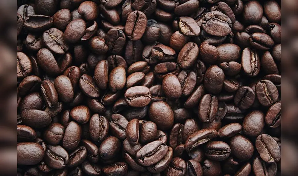 Conoce todo el potencial del café para generar más ingresos. Fuente: Difusión