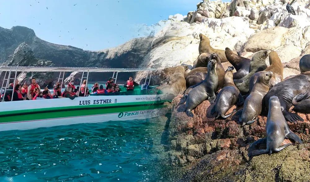 Revisa las diferencias entre Islas Ballestas e Isla Blanca. Foto: Composición LR/Andina.