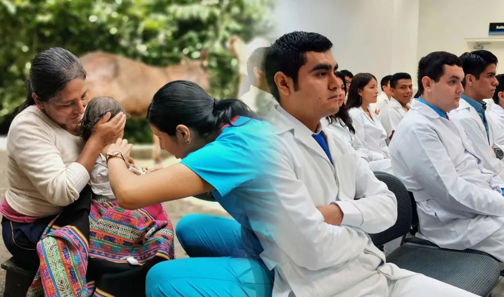 La nueva prueba Serums 2024-II del Ministerio de Salud se realizará el 1 de septiembre. Foto: Minsa La nueva prueba Serums 2024-II del Ministerio de Salud se realizará el 1 de septiembre. Foto: Minsa