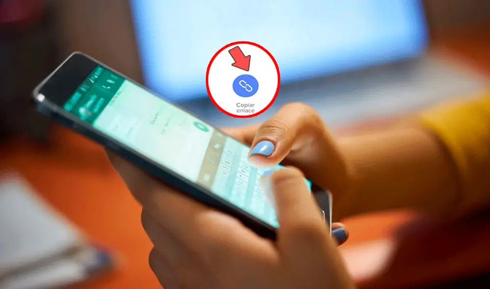 Este problema de WhatsApp puede solucionarse actualizando la app. Foto: DataExport