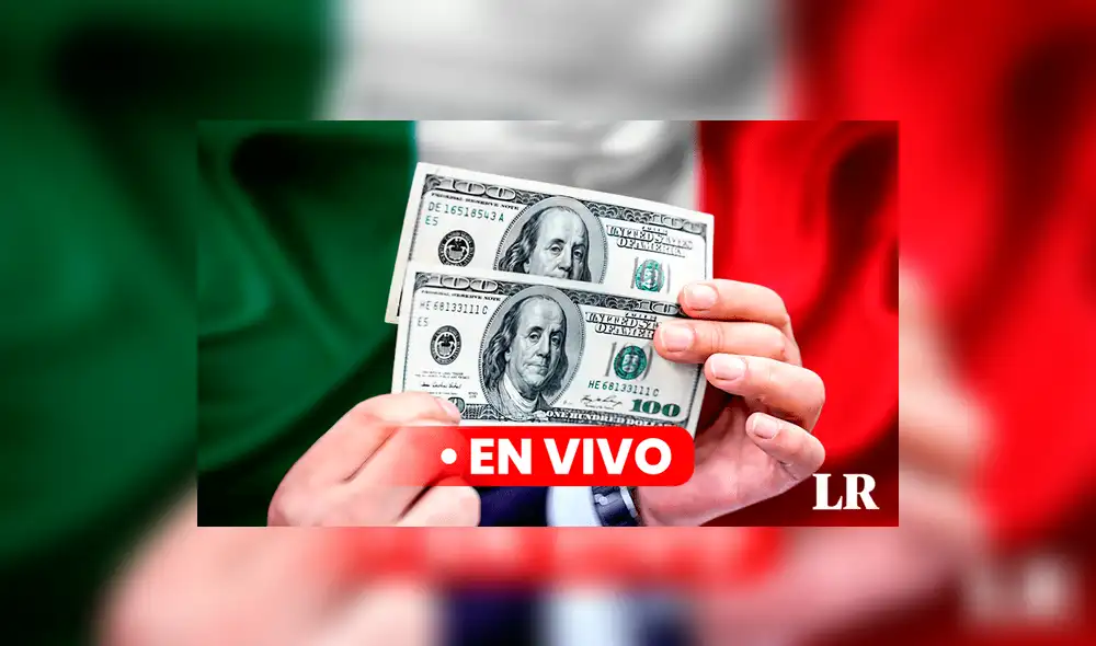 Precio del dólar en México hoy, 5 de septiembre de 2024, según Banco de México. Foto: Composición LR/Jazmin Ceras/La República/CDN Precio del dólar en México hoy, 5 de septiembre de 2024, según Banco de México. Foto: Composición LR/Jazmin Ceras/La República/CDN