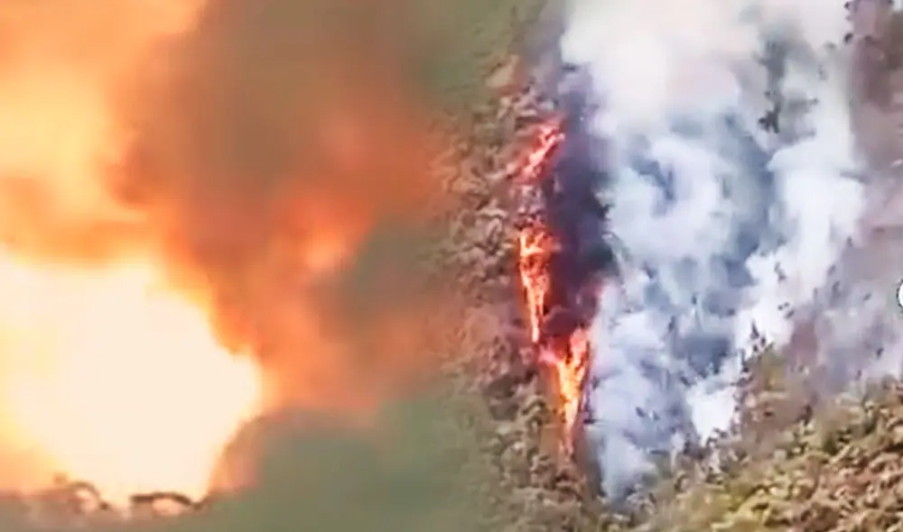 LEn uno de los distritos de Jaén, el fuego arrasó con 300 hectáreas área verde.. Foto: composición LR/Radio Marañón