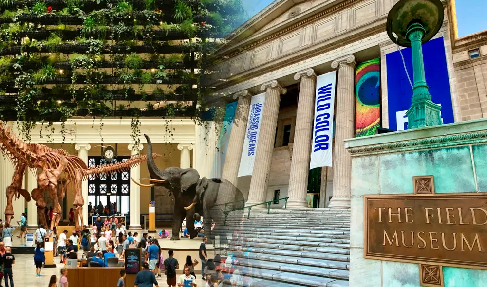 Museos, acuarios y planetarios se podrán disfrutar, sin pagar un dólar, en fechas específicas | Lr / Composición Jazmin Ceras Museos, acuarios y planetarios se podrán disfrutar, sin pagar un dólar, en fechas específicas | Lr / Composición Jazmin Ceras