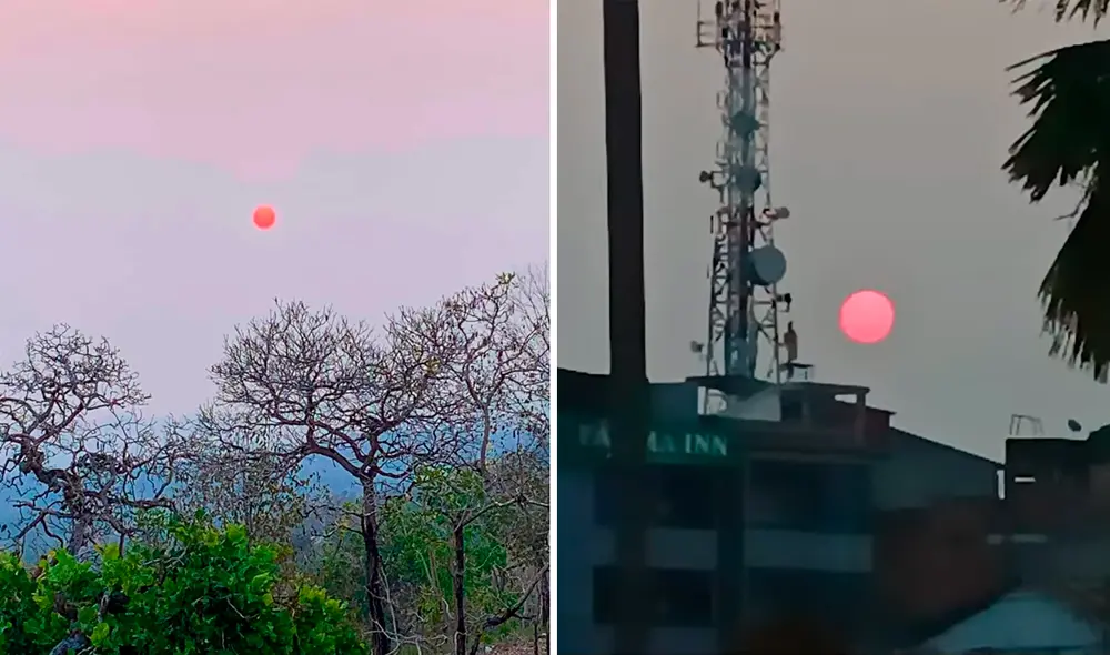 Incendios forestales han asolado diversas localidades del país. Foto: composición LR/difusión