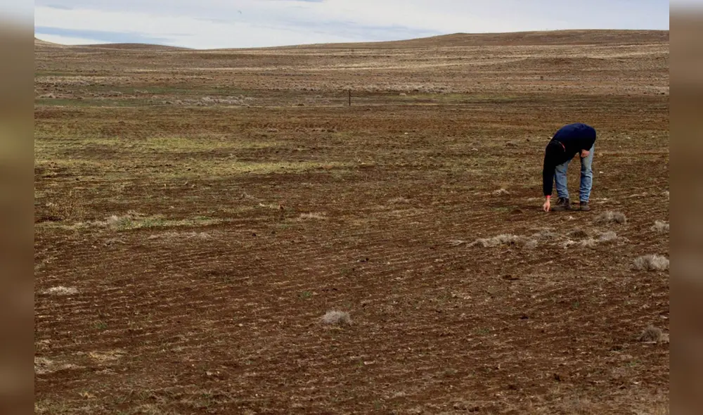 Un panorama para la acción inmediata por el futuro del Perú. Fuente: Difusión Un panorama para la acción inmediata por el futuro del Perú. Fuente: Difusión