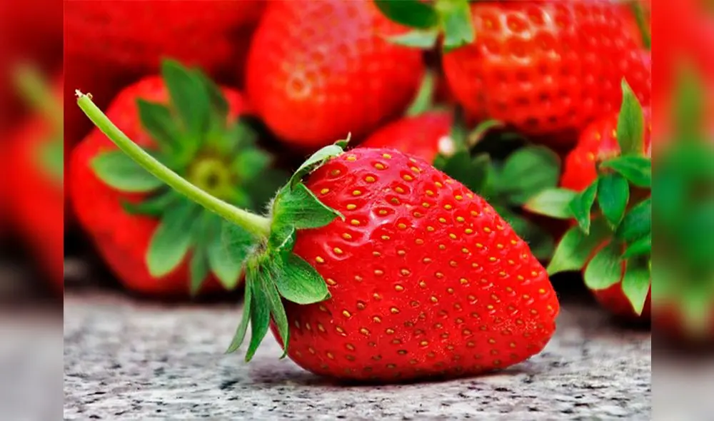 Aprende a desinfectar las deliciosas fresas antes de consumirlas. Foto: Soluciones rápidas.
