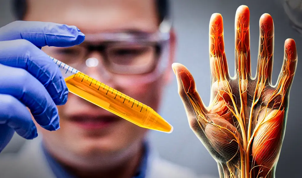 El efecto de piel invisible se logró con un colorante alimentario común y es reversible cuando se enjuaga. Foto: composiciónLR/UTD/IA