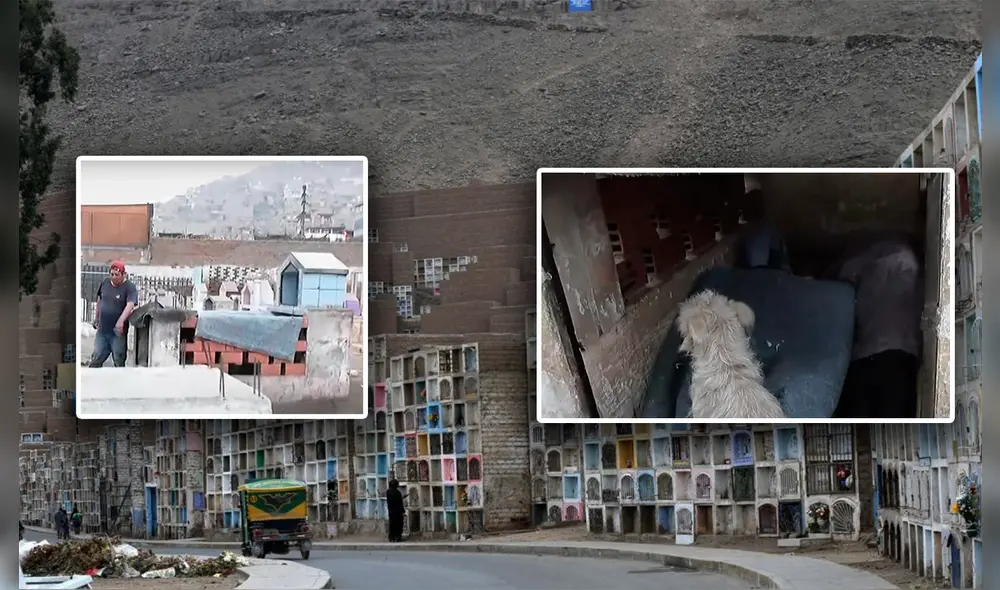 Delincuentes utilizan tumbas para dormir, drogarse y beber. Foto: composición LR/difusión/captura de pantalla. Delincuentes utilizan tumbas para dormir, drogarse y beber. Foto: composición LR/difusión/captura de pantalla.