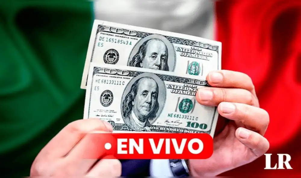Precio del dólar en México hoy, 9 de septiembre de 2024, según Banco de México. Foto: Composición LR/Jazmin Ceras/La República/CDN Precio del dólar en México hoy, 9 de septiembre de 2024, según Banco de México. Foto: Composición LR/Jazmin Ceras/La República/CDN