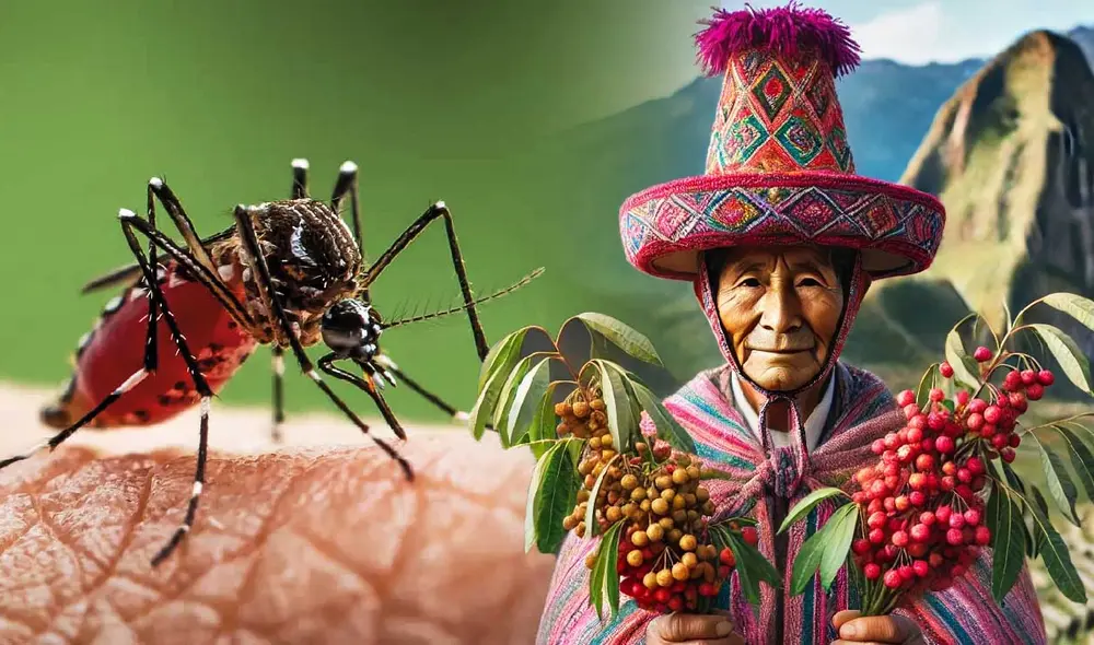 El molle, conocido también como aguaribay, es valorado por su potencial para ahuyentar mosquitos, gracias a compuestos como terpineol y felandreno. Foto: composición LR/Dall.E/El Mundo