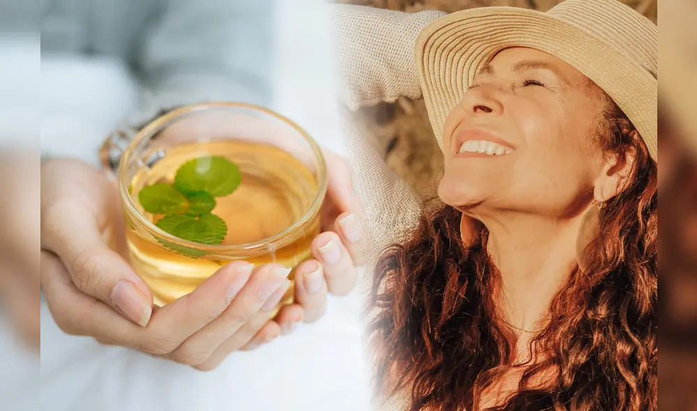 El té blanco, es una infusión rica en antioxidantes y vitaminas que ofrece múltiples beneficios para la salud, la estética y el fortalece el sistema inmunológico. Foto: Pexels