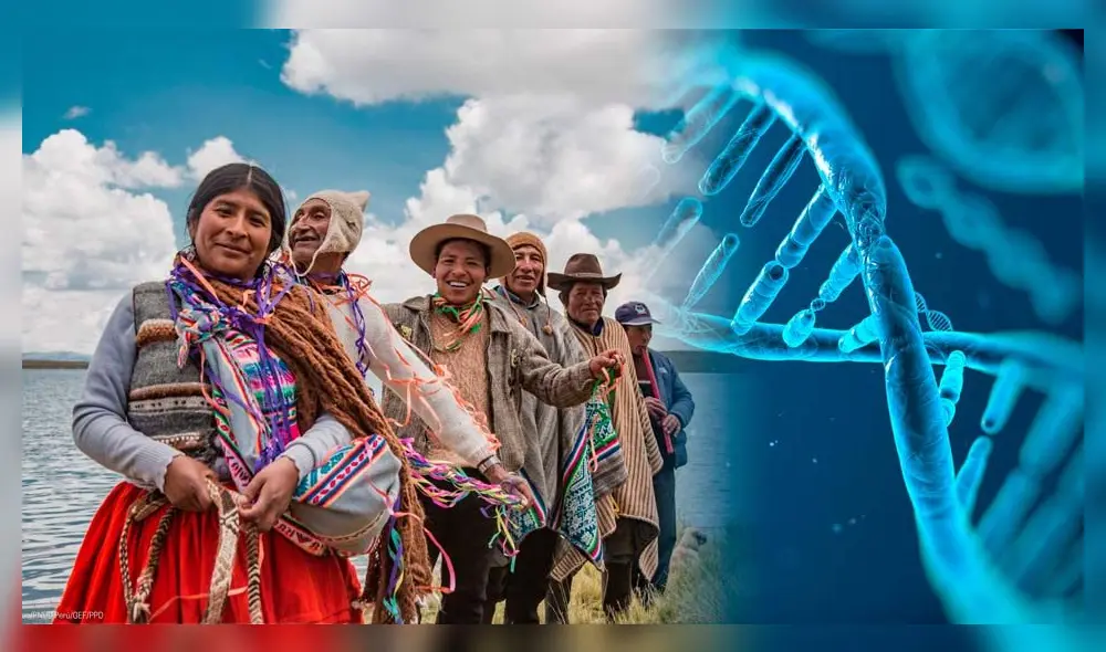 Bióloga española explica por qué los peruanos son superhumanos: "Tienen mayor volumen pulmonar y el corazón más grande". Foto: composición LR / Andina / iStock Bióloga española explica por qué los peruanos son superhumanos: "Tienen mayor volumen pulmonar y el corazón más grande". Foto: composición LR / Andina / iStock