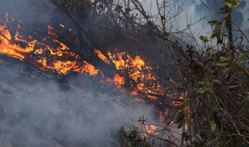En Cajamarca el fuego devora bosques y sembríos en siete provincias. Foto: Andina