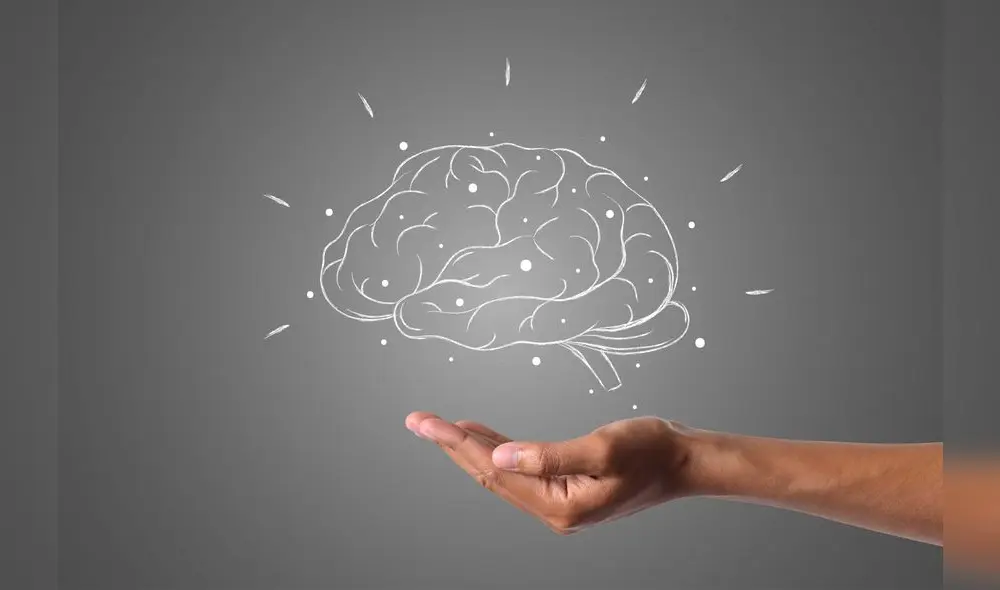 La curcumina, ayuda a mejorar la memoria al estimular la regeneración de células cerebrales y atravesar la barrera hematoencefálica. Foto: Freepik