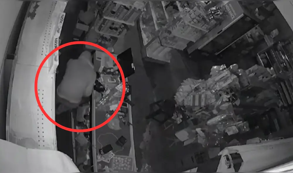 Delincuentes ingresaron por una de las ventanas del negocio en SJL: Captura Panamericana Televisión