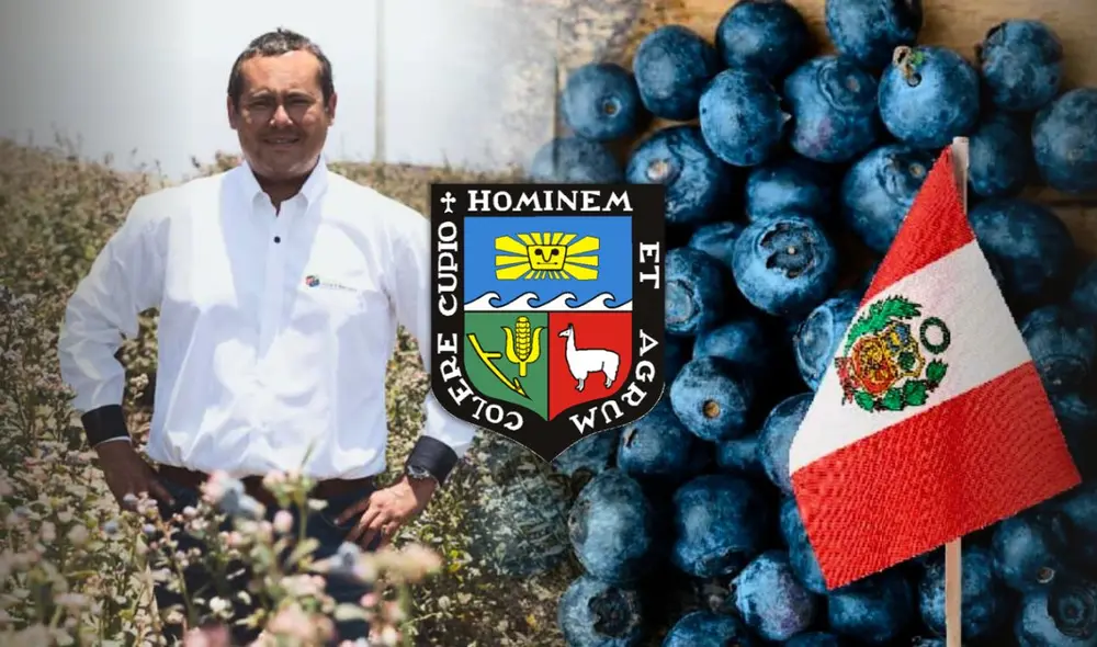 El ingeniero de la UNALM que volvió al Perú en el principal exportador de arándanos: "Decían que no era posible cultivarlo en el país". Foto: composición LR / UNALM / agrariape / Portalfrutícola